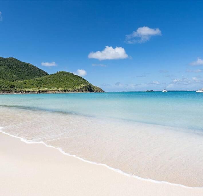 Le Palmier Bleu, Cocon Tropical, Plage & Piscine Anse Marcel Exteriér fotografie